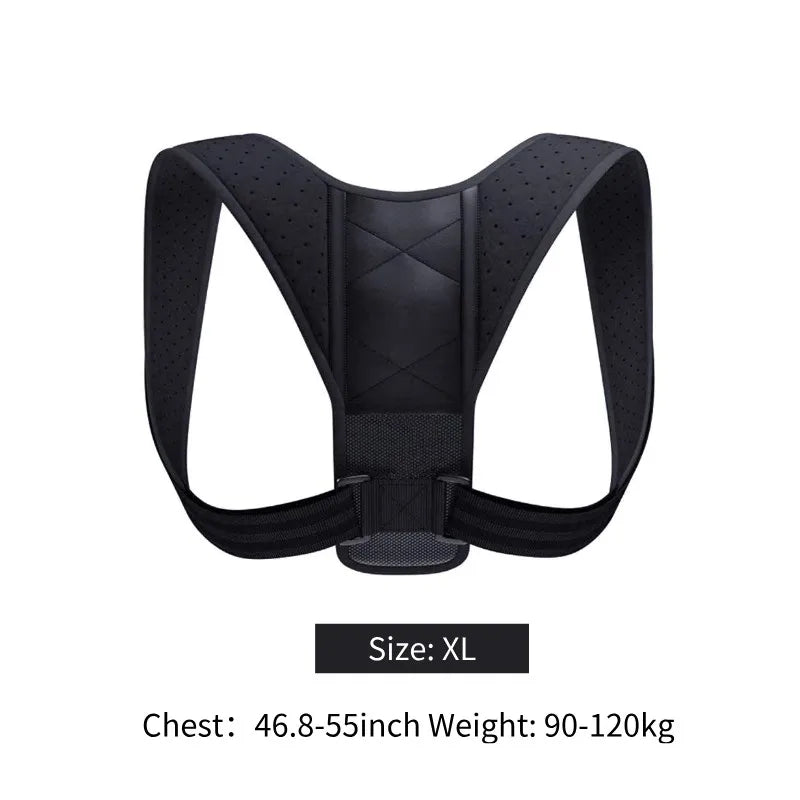 BodyForce Posture Support Belt — Back & Spine Support - Accessories | BodyForce UK