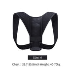 BodyForce Posture Support Belt — Back & Spine Support - Accessories | BodyForce UK