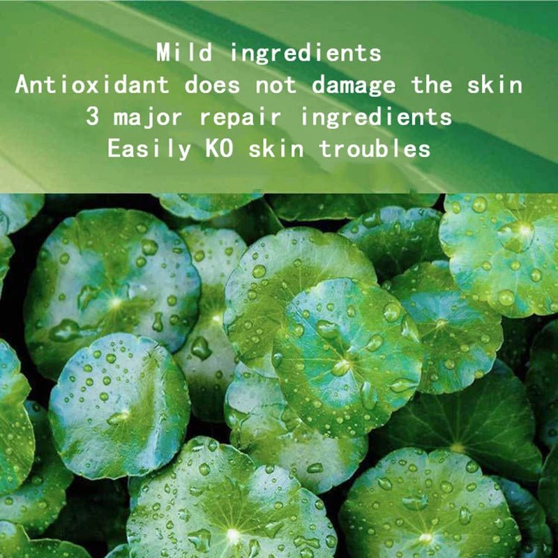 Masques Visage Centella & Collagène — Korean Skincare Anti - Âge (30/60/90 pcs) - Masque Visage | BodyForce UK