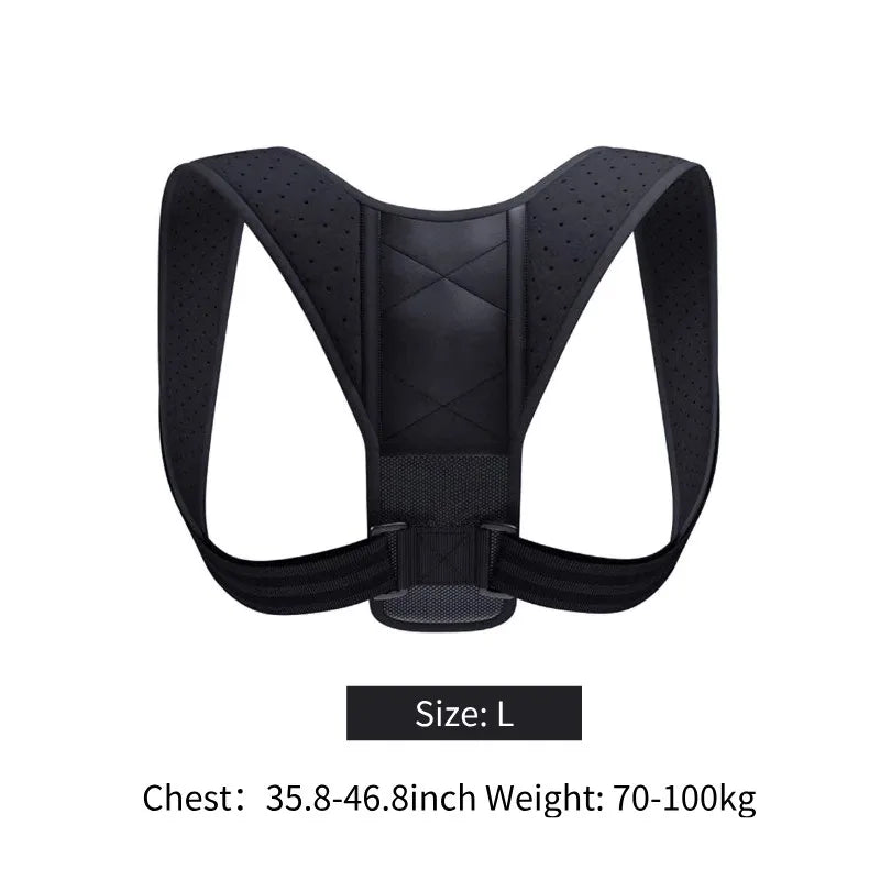 BodyForce Posture Support Belt — Back & Spine Support - Accessories | BodyForce UK