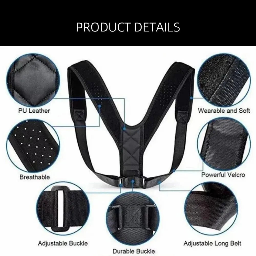 BodyForce Posture Support Belt — Back & Spine Support - Accessories | BodyForce UK